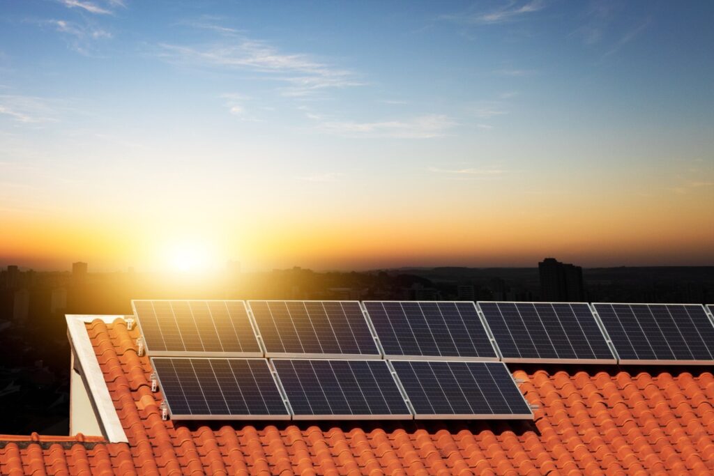 WhatsApp Image 2023-11-29 at 1.15.21 PM (1)